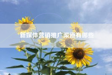 新媒体营销推广渠道有哪些