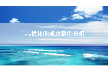 seo优化的成功案例分析