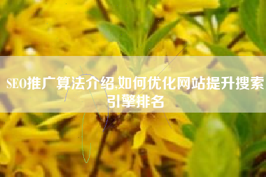 SEO推广算法介绍,如何优化网站提升搜索引擎排名