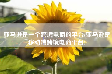 亚马逊是一个跨境电商的平台(亚马逊是移动端跨境电商平台)