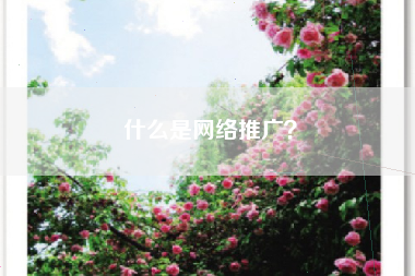 什么是网络推广？