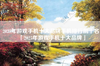 2025年游戏手机十大品牌手机排行前十名「2025年游戏手机十大品牌」