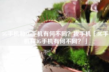 5G手机和4G手机有何不同？我手机「5G手机和4G手机有何不同？」
