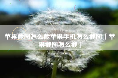 苹果截图怎么截苹果手机怎么截图「苹果截图怎么截」