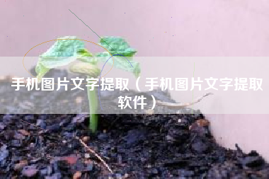 手机图片文字提取（手机图片文字提取软件）