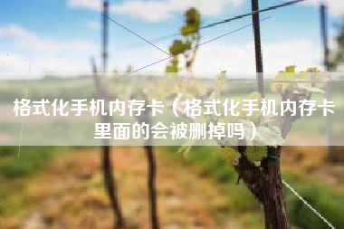 格式化手机内存卡（格式化手机内存卡里面的会被删掉吗）