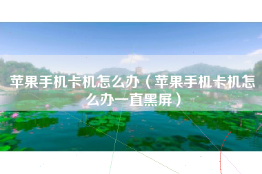 苹果手机卡机怎么办（苹果手机卡机怎么办一直黑屏）