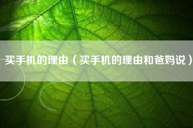 买手机的理由（买手机的理由和爸妈说）