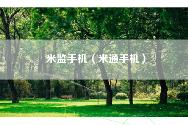 米监手机（米通手机）