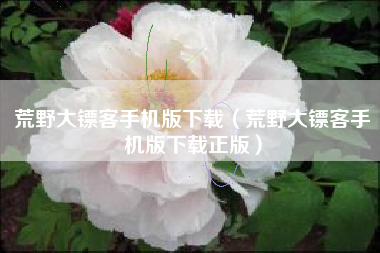 荒野大镖客手机版下载（荒野大镖客手机版下载正版）