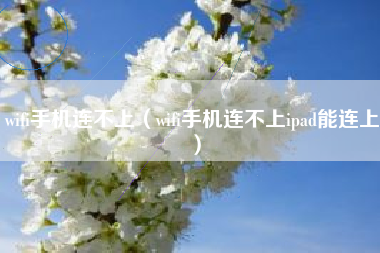 wifi手机连不上（wifi手机连不上ipad能连上）