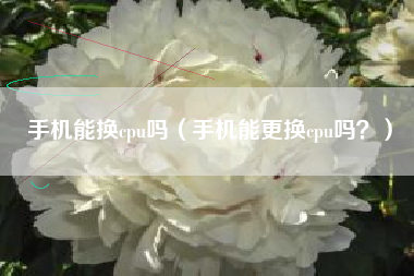 手机能换cpu吗（手机能更换cpu吗？）