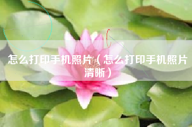 怎么打印手机照片（怎么打印手机照片清晰）