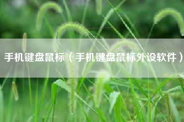 手机键盘鼠标（手机键盘鼠标外设软件）
