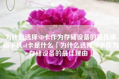 为什么选择SD卡作为存储设备的最佳理由手机sd卡是什么「为什么选择SD卡作为存储设备的最佳理由」