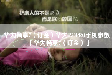 华为畅享7（订金）华为P30PRO手机参数「华为畅享7（订金）」