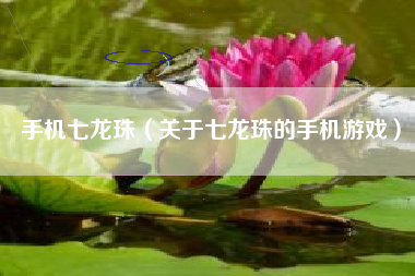 手机七龙珠（关于七龙珠的手机游戏）