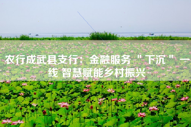 农行成武县支行：金融服务 ＂下沉＂ 一线 智慧赋能乡村振兴