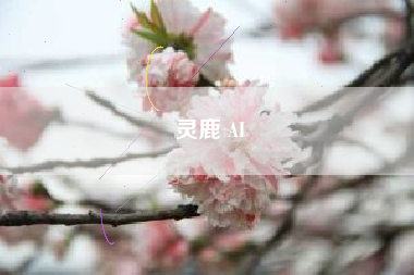 灵鹿 AI