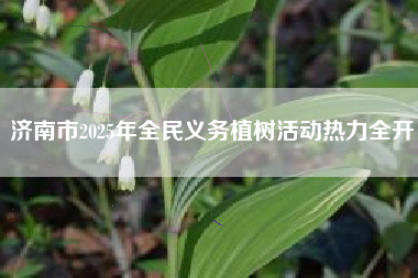 济南市2025年全民义务植树活动热力全开