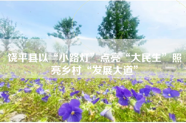 饶平县以“小路灯”点亮“大民生”照亮乡村“发展大道”